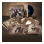 Absolute Originals (8LP Box)