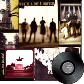 Cracked Rear View (2LP)