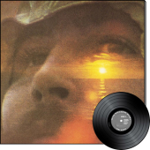 If I Could Only Remember My Name (2LP)