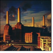 Animals (CD)