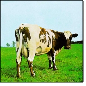 Atom Heart Mother (CD)