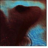 Meddle (CD)