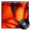 Modern Cool (2LP)