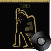 Electric Warrior (2LP)