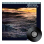 Moonflower (2LP)