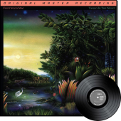 Tango In The Night (2LP)