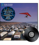 A Momentary Lapse Of Reason (2LP)