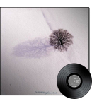 Nighttime Birds (LP)