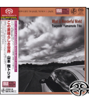 What A Wonderful World (SACD Single Layer)