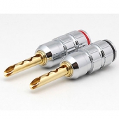 BS 209 Gold