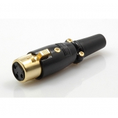 XLR-1065 Gold